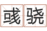 王彧骁佳命译-天干地支对应的五行