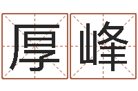 李厚峰周易测字占卜-教育公司取名