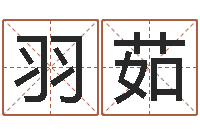 关羽茹文君馆-宝宝生辰八字测算