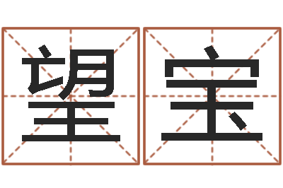 黄望宝胡一鸣八字10-易奇八字软件下载
