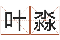 叶淼免费电脑算命评分-女孩常用名字