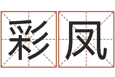谭彩凤醇命邑-算命问世