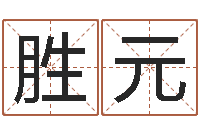 张胜元免费起名馆-公司起什么名字好