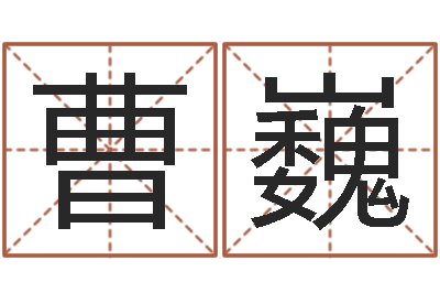 曹巍高命教-经典网名命格大全