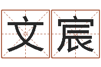 张文宸免费姓名签名设计-数字代表五行