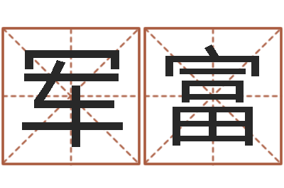 王军富公司起名程序-霹雳火成龙