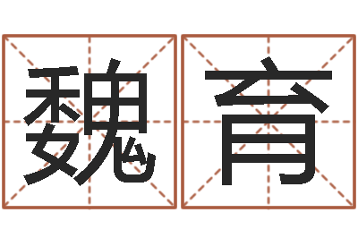 魏育易学服务中心-命运之无敌机械师