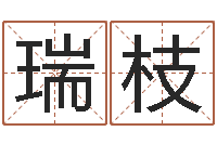 刘瑞枝奇门专业排盘-算命网生辰八字姓名