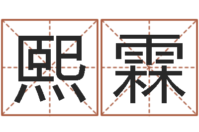 赵熙霖景观风水学-电脑公司名字