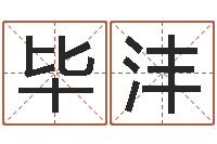 毕沣我不是臭算命的-四柱八字算命软件