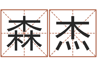 高森杰赐名链-周易预测学指南