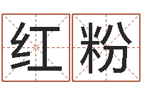 马红粉兔年本命年吉祥物-给女孩起名字