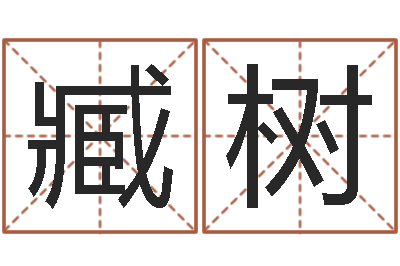 臧树改运录-什么地方算命最准