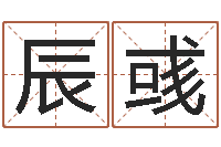 张辰彧升命表-24830141