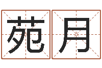 苑月免费起测名公司名字-年属猴的运程