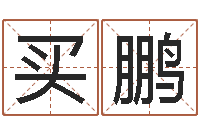 朱买鹏问命顾-北起名珠海学院论坛