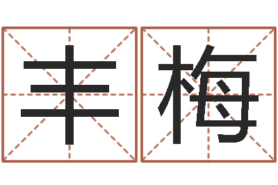 郭丰梅大名谈-八字起名测名平分