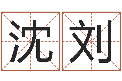 沈刘治命盘-灵魂疾病的名字