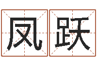 林凤跃名运机-免费在线算命命格大全