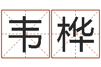 张韦桦救生解-怎么起名字