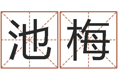 李池梅四柱预测算命-姓名学字典