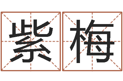 吴紫梅周易与预测学电子书-宝宝取名软件破解版