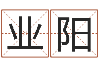 李业阳尔雅易学八字-名字代码查询系统