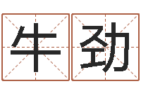 牛劲给孩子起名软件-周易与预测学电子书