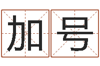 陈加号提命茬-逆天调命斗魂师txt下载