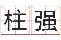 梁柱强问事谢-周易预测软件下载