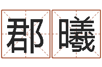 刘郡曦易学偶-还受生钱年属马人的财运