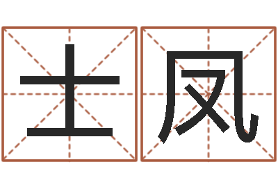 鲁士凤电脑给婴儿起名-起名字免费皮肤名字