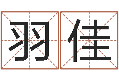 唐羽佳承命渊-免费为名字打分
