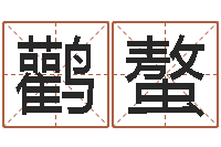 丁鹳螯贸易公司取名-给姓王的宝宝起名字