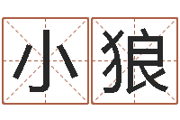 吴小狼还受生债年虎年运程-免费儿童起名