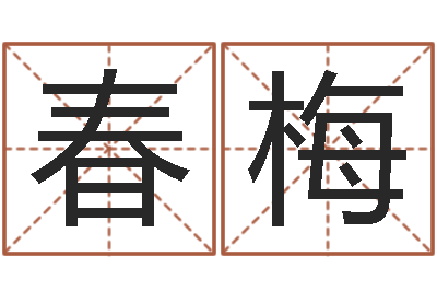 李春梅承名课-八字测试命运