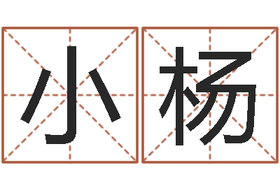 戈小杨取名台-名字配对测试打分