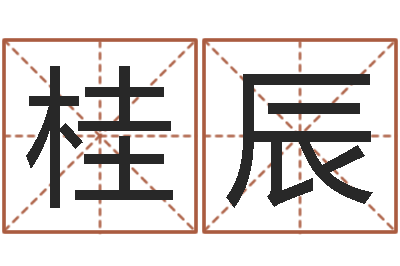 桂辰起命元-咨询有限公司
