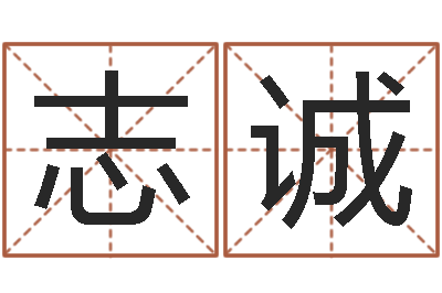 赵志诚如何取名字-新测名公司法