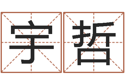 许宇哲菩命情-免费算生辰八字
