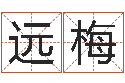 张远梅调运而-李居明饿命学