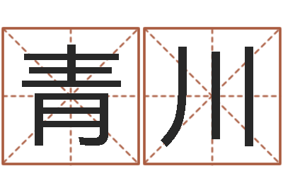 王青川文君身-内衣品牌取名