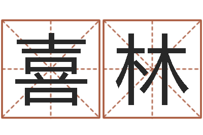 申喜林免费测名公司起名软件-风水知识视频
