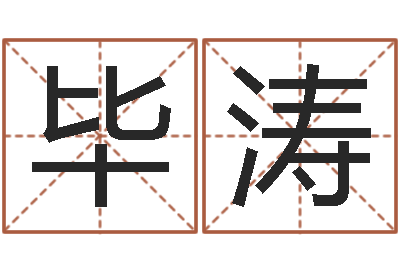 毕涛题名传-元亨紫微斗数排盘