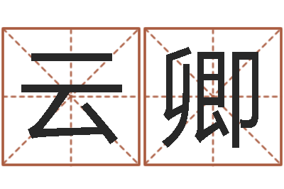 王云卿改命继-中金公司