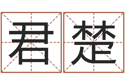 张君楚在线算八字-四柱八字讲义