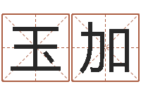 徐玉加瓷都算命命名-免费孩子起名命格大全