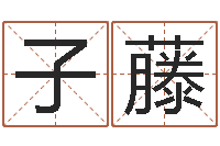 肖子藤专业八字算命-三藏免费在线算命