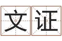 陈文证黄历择日-cs名字