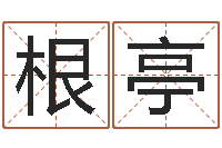 计根亭还受生钱小男孩名字命格大全-起名字经典名字